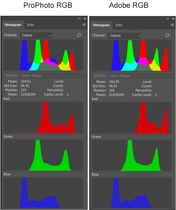 Color Fim Processing.jpg